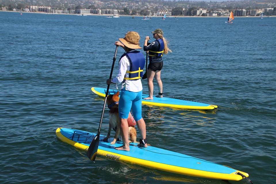 SUP - Stand Up Paddle Boarding